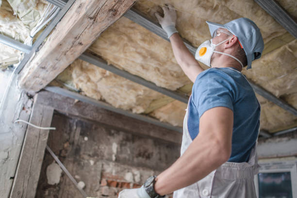Best Geographic-Specific Insulation Services in San Clemente, CA