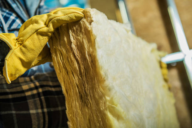 Professional Insulation Contractor in San Clemente, CA