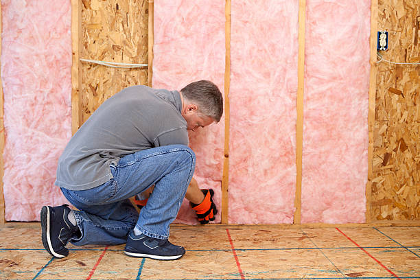 Best Blown-in Insulation in San Clemente, CA