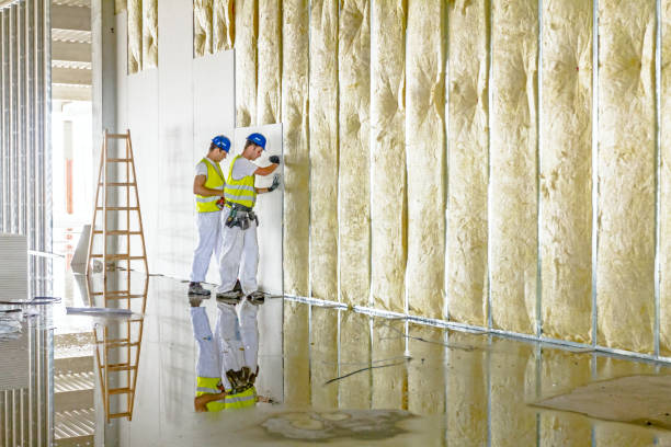 Best Fiberglass Insulation in San Clemente, CA